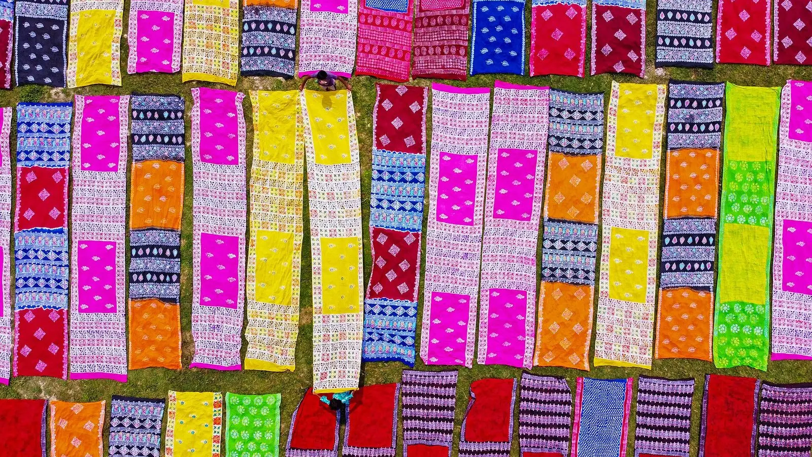 Rows of freshly dyed and printed sarees in pink, yellow, orange and red laid out to dry on grass, seen from above