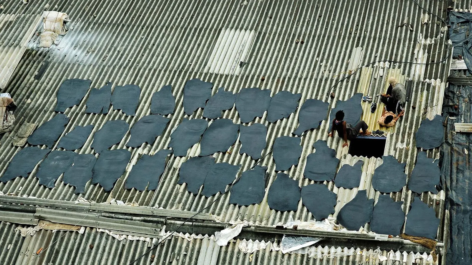 Leather hides laid out to dry in rows on a workshop rooftop in Dharavi, Mumbai