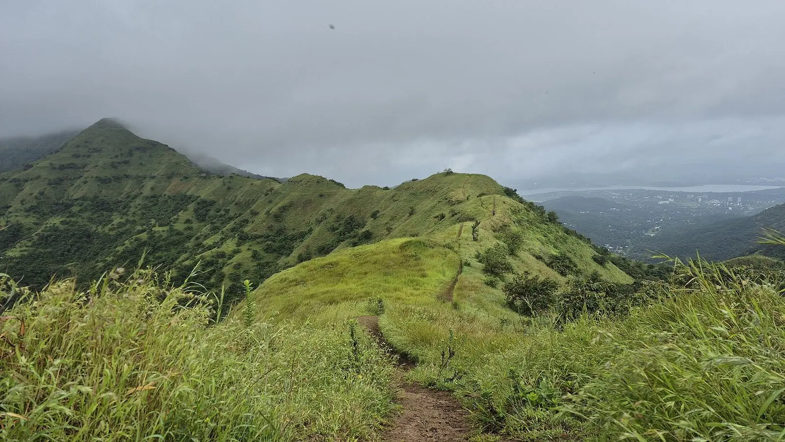 A grassy ridge trail on Sinhagad Fort above Pune, green hills fading into monsoon cloud